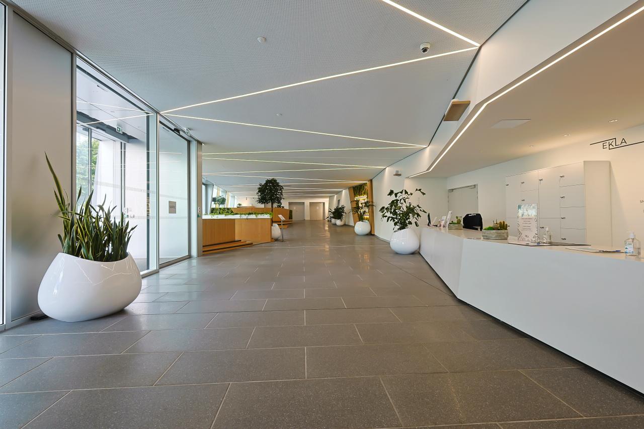 Bureau Lille 216m² Location bureau Lille Nord OLBUR2114126 2
